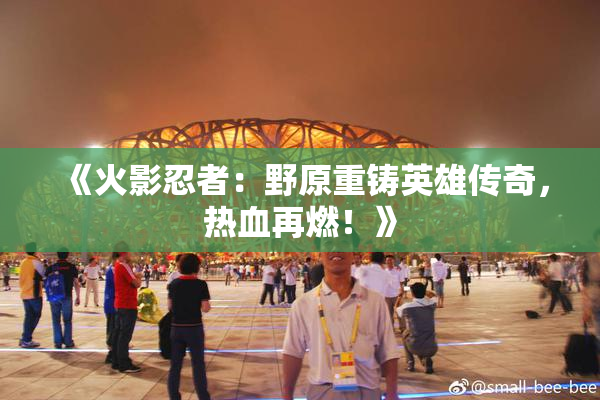 《火影忍者：野原重铸英雄传奇，热血再燃！》