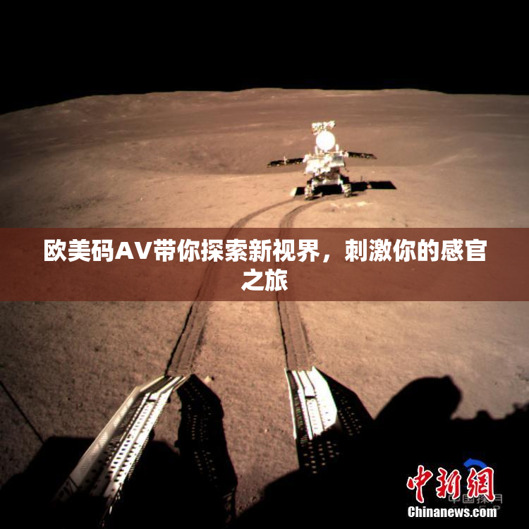 欧美码AV带你探索新视界，刺激你的感官之旅
