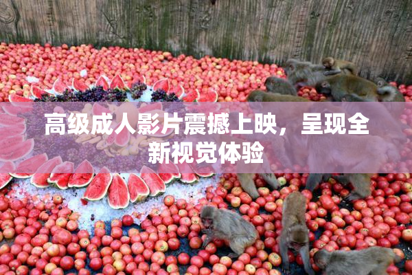 高级成人影片震撼上映，呈现全新视觉体验