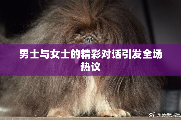 男士与女士的精彩对话引发全场热议