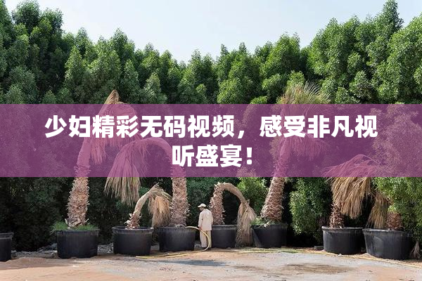 少妇精彩无码视频，感受非凡视听盛宴！
