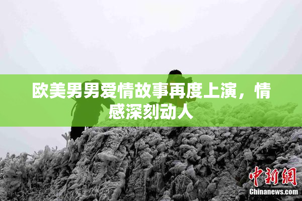 欧美男男爱情故事再度上演，情感深刻动人