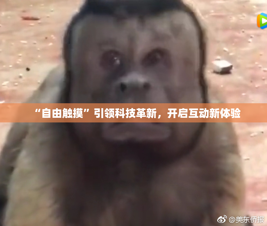 “自由触摸”引领科技革新，开启互动新体验