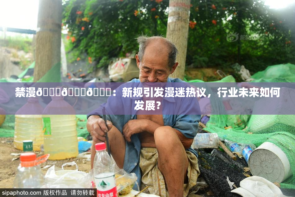 禁漫🍆🍑🔞：新规引发漫迷热议，行业未来如何发展？