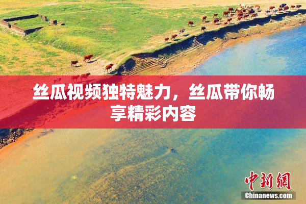 丝瓜视频独特魅力，丝瓜带你畅享精彩内容