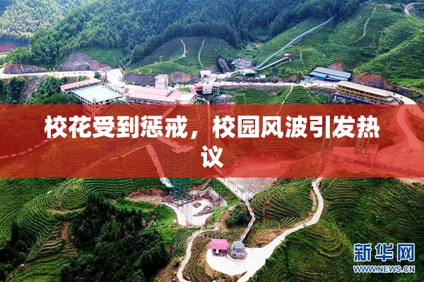 校花受到惩戒，校园风波引发热议