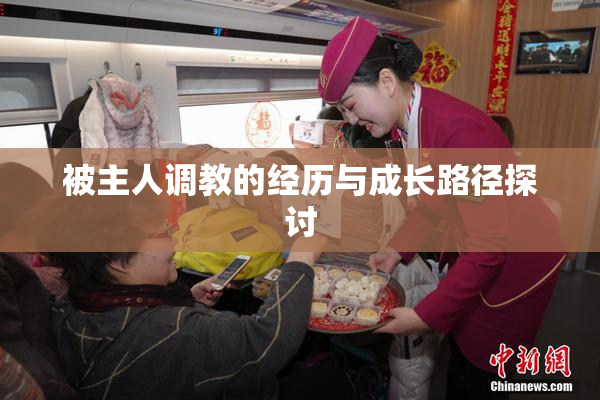 被主人调教的经历与成长路径探讨