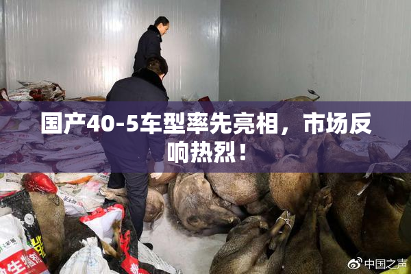 国产40-5车型率先亮相，市场反响热烈！