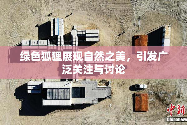 绿色狐狸展现自然之美，引发广泛关注与讨论