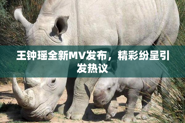 王钟瑶全新MV发布，精彩纷呈引发热议