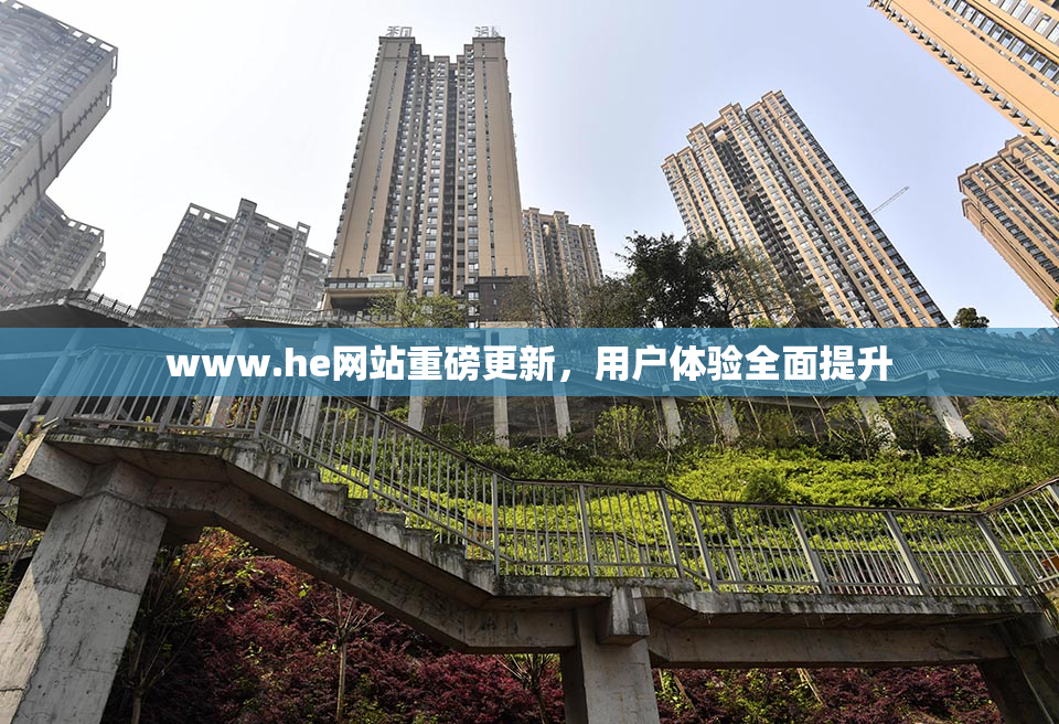 www.he网站重磅更新，用户体验全面提升