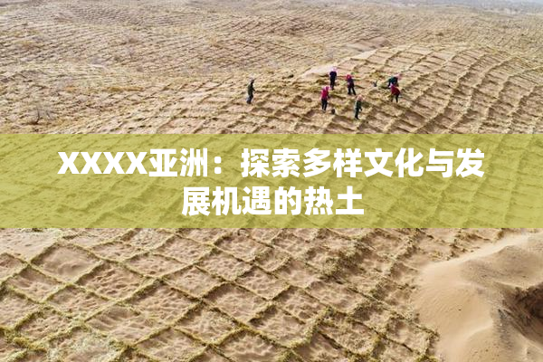 XXXX亚洲：探索多样文化与发展机遇的热土