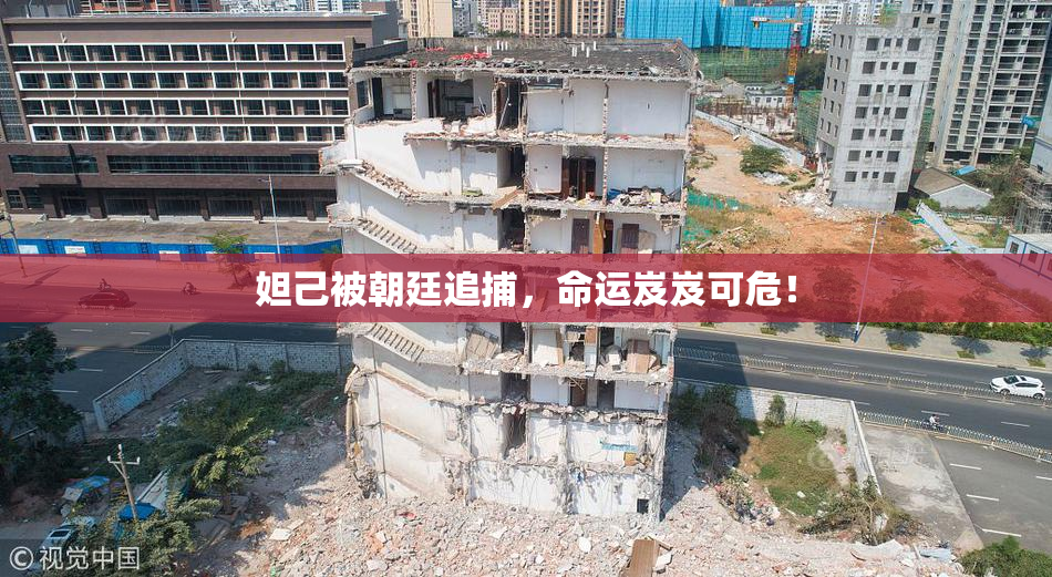 妲己被朝廷追捕，命运岌岌可危！