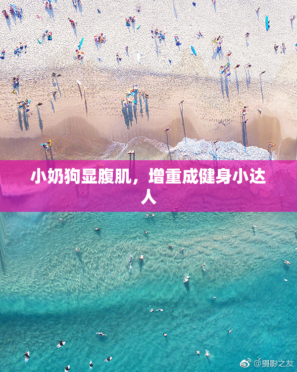 小奶狗显腹肌，增重成健身小达人