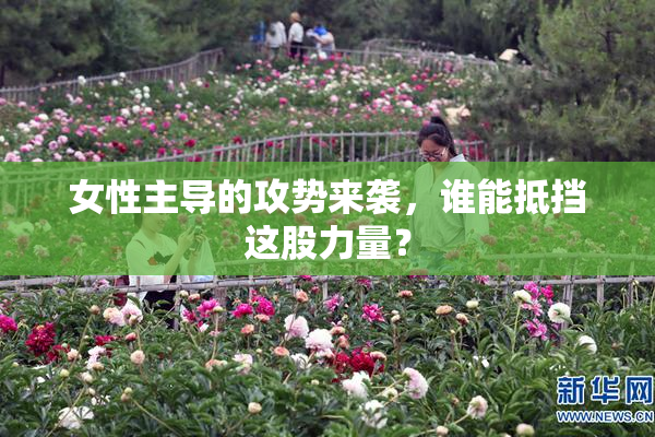 女性主导的攻势来袭，谁能抵挡这股力量？