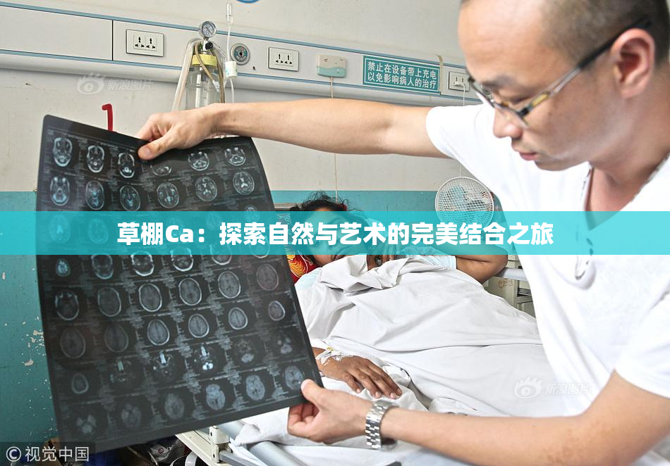 草棚Ca：探索自然与艺术的完美结合之旅