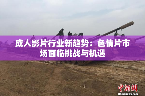 成人影片行业新趋势：色情片市场面临挑战与机遇
