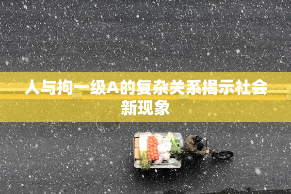 人与拘一级A的复杂关系揭示社会新现象