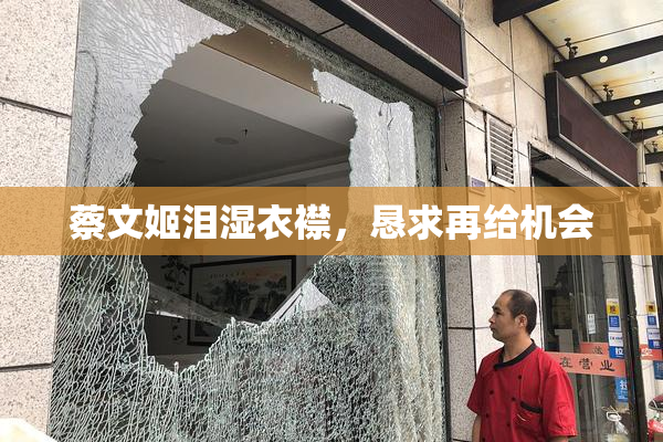 蔡文姬泪湿衣襟，恳求再给机会