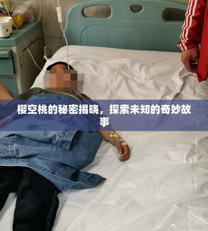 樱空桃的秘密揭晓，探索未知的奇妙故事