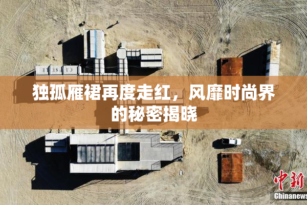 独孤雁裙再度走红，风靡时尚界的秘密揭晓