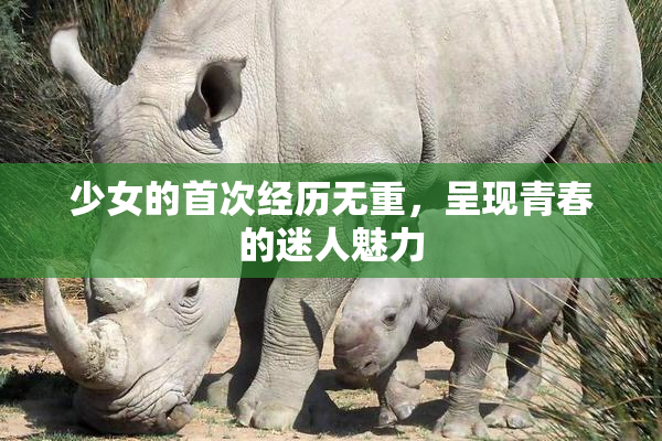 少女的首次经历无重，呈现青春的迷人魅力