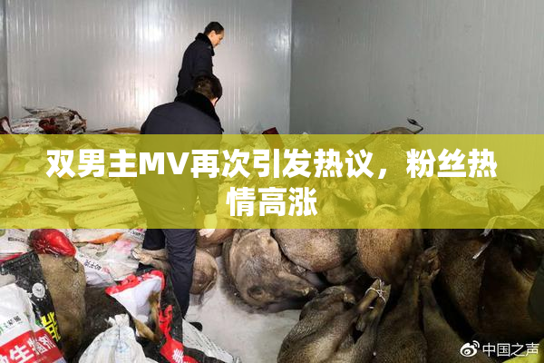 双男主MV再次引发热议，粉丝热情高涨