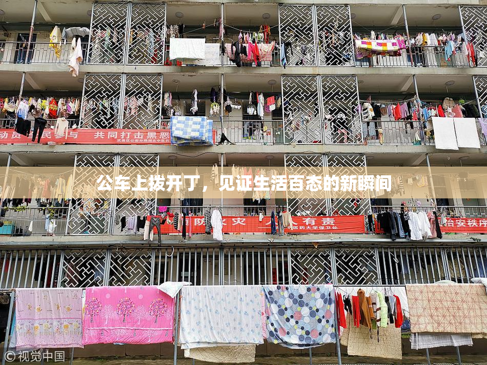 公车上拨开丁，见证生活百态的新瞬间