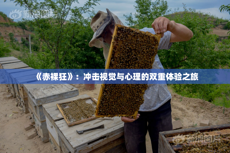 《赤裸狂》：冲击视觉与心理的双重体验之旅
