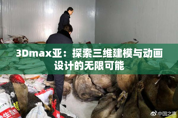 3Dmax亚：探索三维建模与动画设计的无限可能