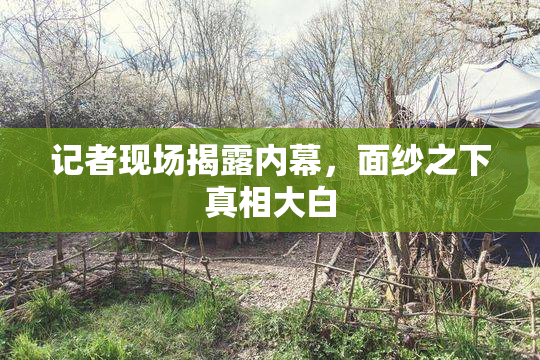 记者现场揭露内幕，面纱之下真相大白