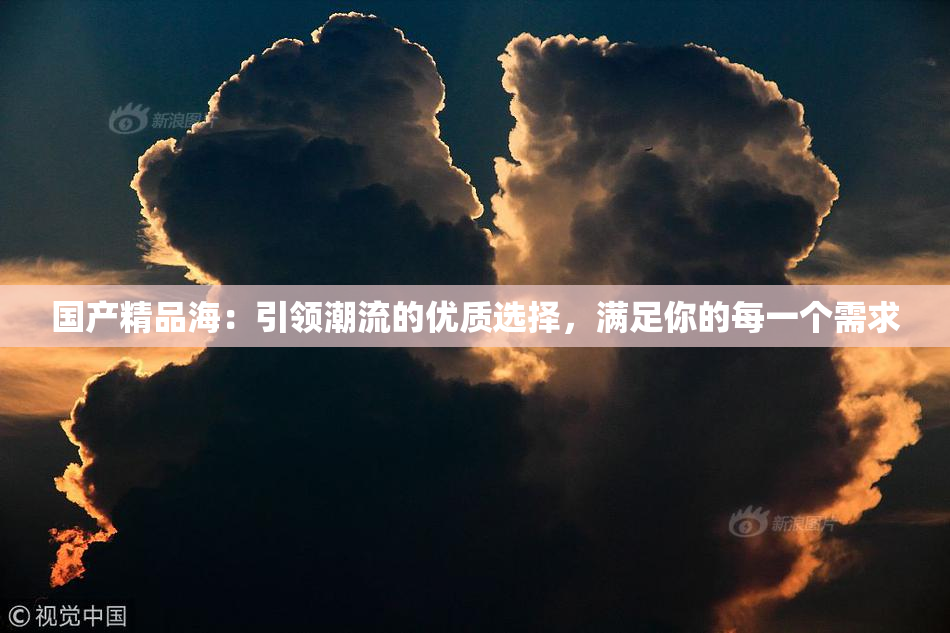 国产精品海：引领潮流的优质选择，满足你的每一个需求