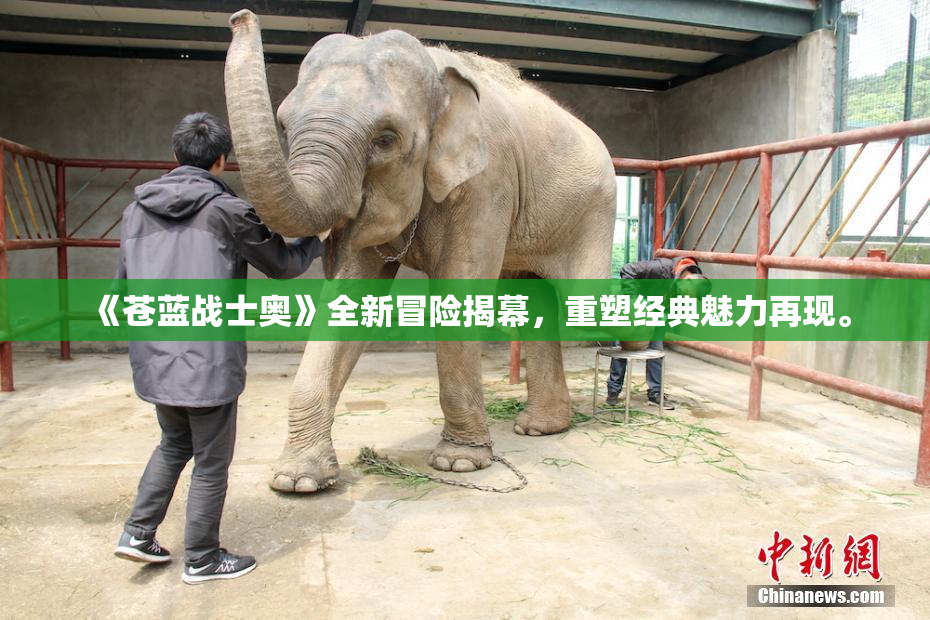 《苍蓝战士奥》全新冒险揭幕，重塑经典魅力再现。