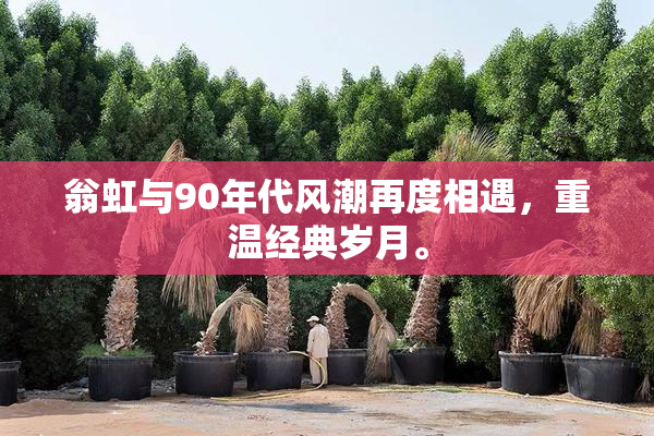 翁虹与90年代风潮再度相遇，重温经典岁月。