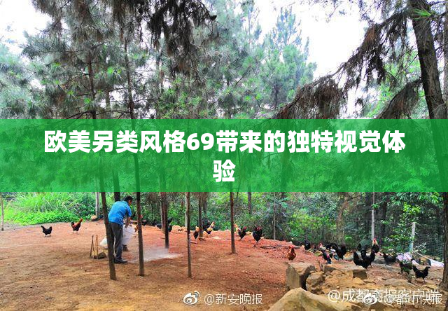 欧美另类风格69带来的独特视觉体验
