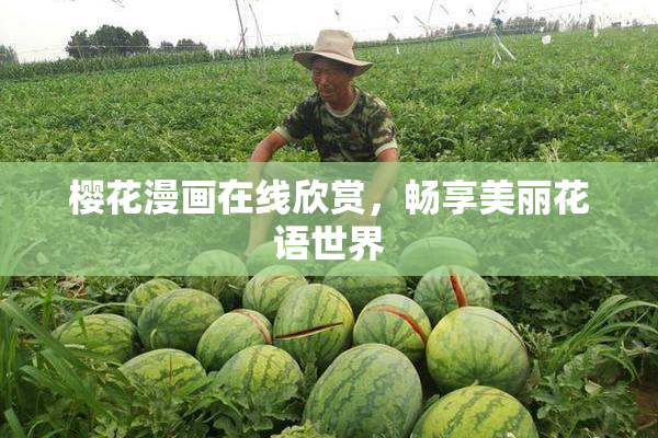 樱花漫画在线欣赏，畅享美丽花语世界