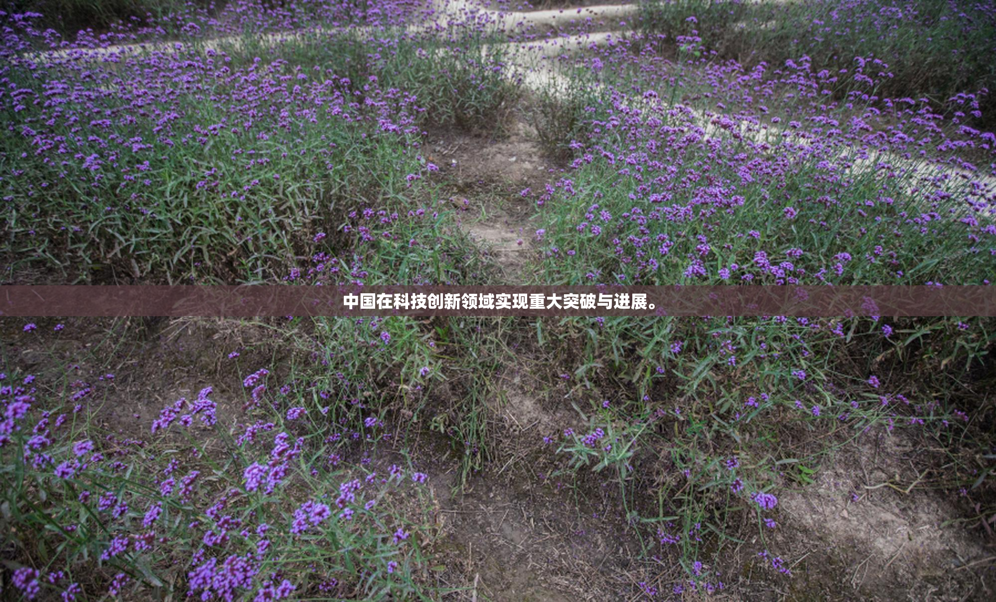 中国在科技创新领域实现重大突破与进展。