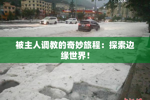 被主人调教的奇妙旅程：探索边缘世界！