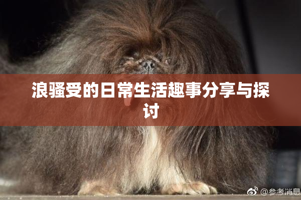浪骚受的日常生活趣事分享与探讨