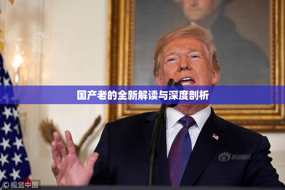 国产老的全新解读与深度剖析