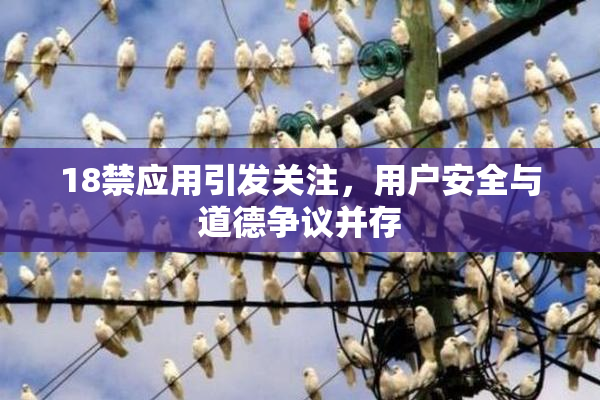 18禁应用引发关注，用户安全与道德争议并存
