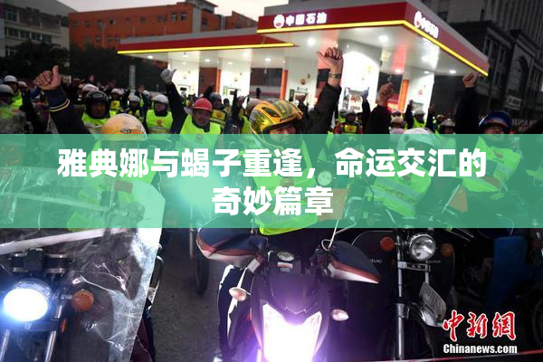 雅典娜与蝎子重逢，命运交汇的奇妙篇章