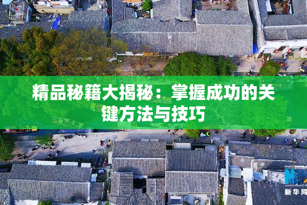 精品秘籍大揭秘：掌握成功的关键方法与技巧