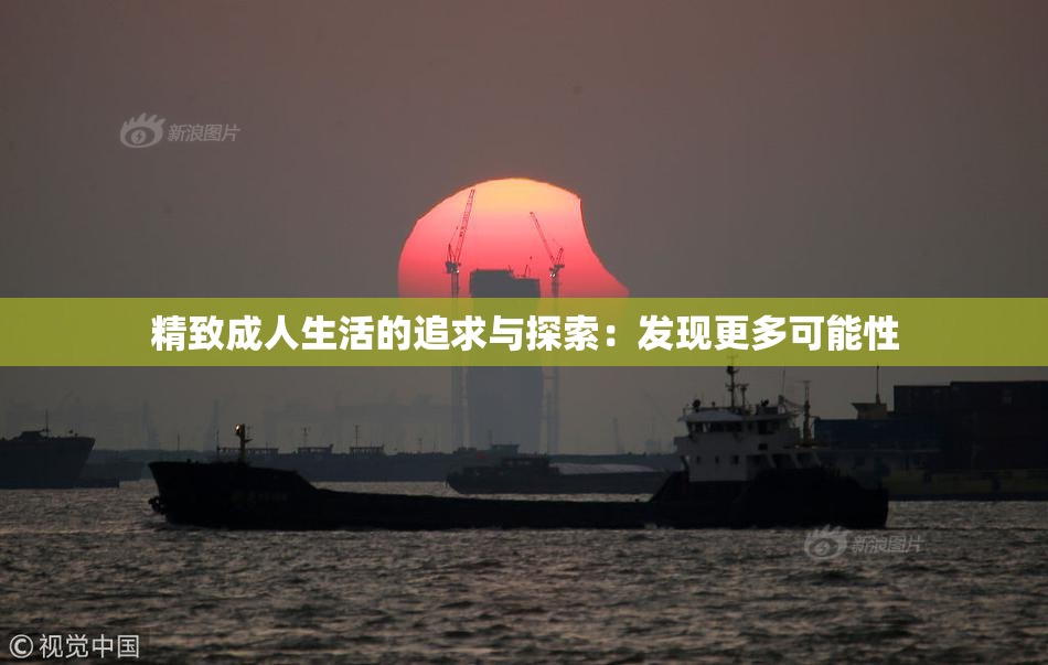 精致成人生活的追求与探索：发现更多可能性