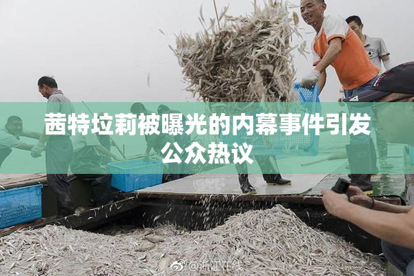 茜特垃莉被曝光的内幕事件引发公众热议