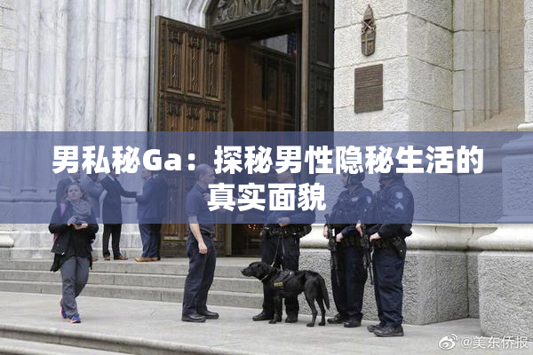 男私秘Ga：探秘男性隐秘生活的真实面貌