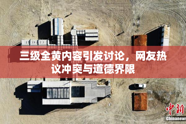 三级全黄内容引发讨论，网友热议冲突与道德界限