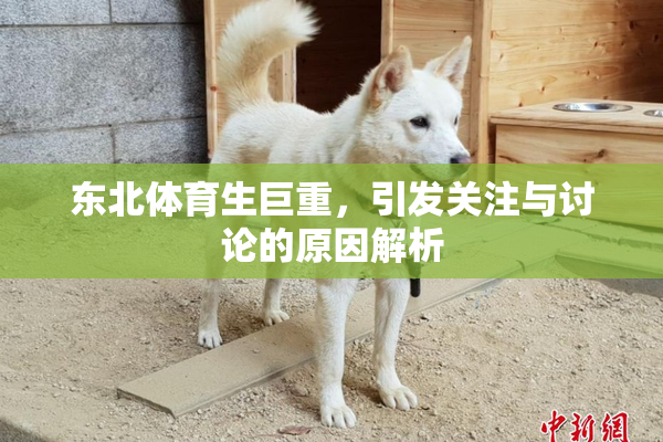 东北体育生巨重，引发关注与讨论的原因解析