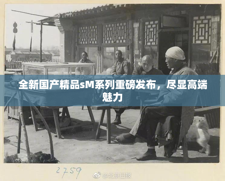 全新国产精品sM系列重磅发布，尽显高端魅力