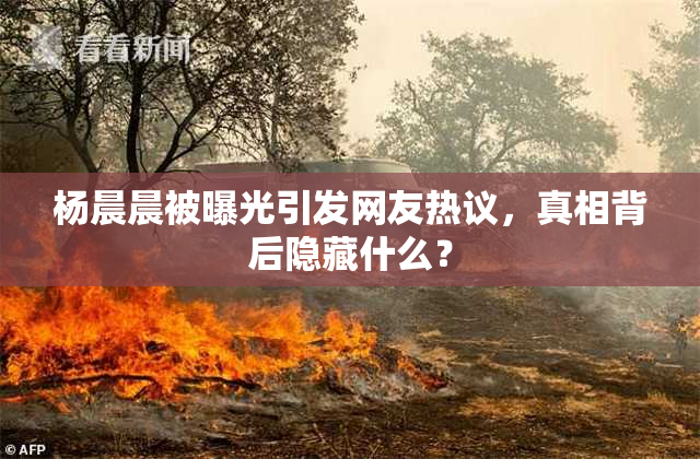 杨晨晨被曝光引发网友热议，真相背后隐藏什么？